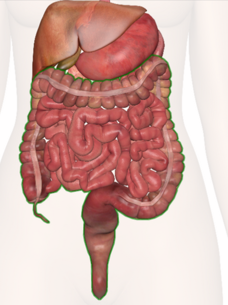 Benefits of Colon Cleansing