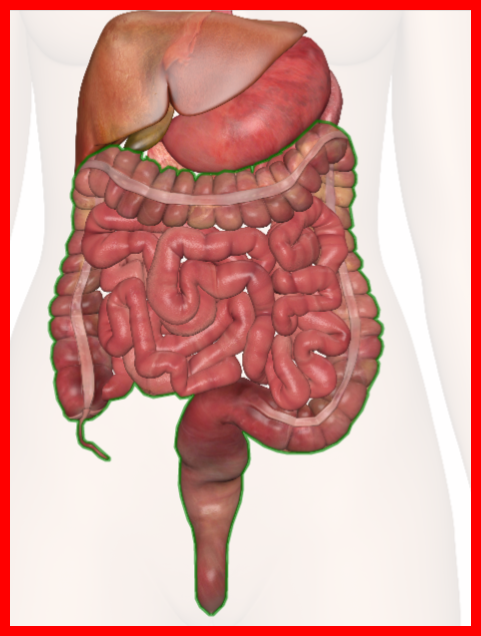 Signs of Colon Problems